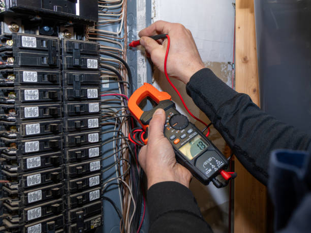 Best Electric Panel Repair  in Lucasville, OH